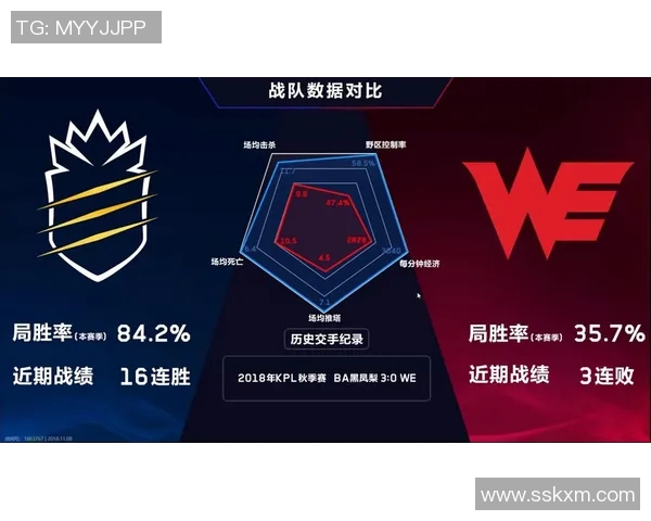 热议王者荣耀WE灵活性变革对战术策略与玩家体验的深远影响